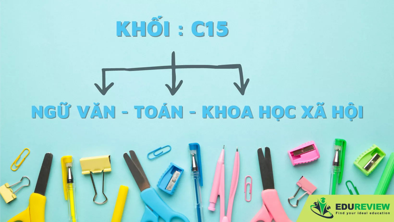 C15 gồm những môn nào