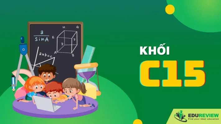 Khối c15 gồm những ngành nào
