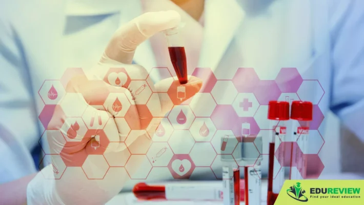 các ngành khối B