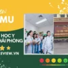 review đại học y dược hải phòng