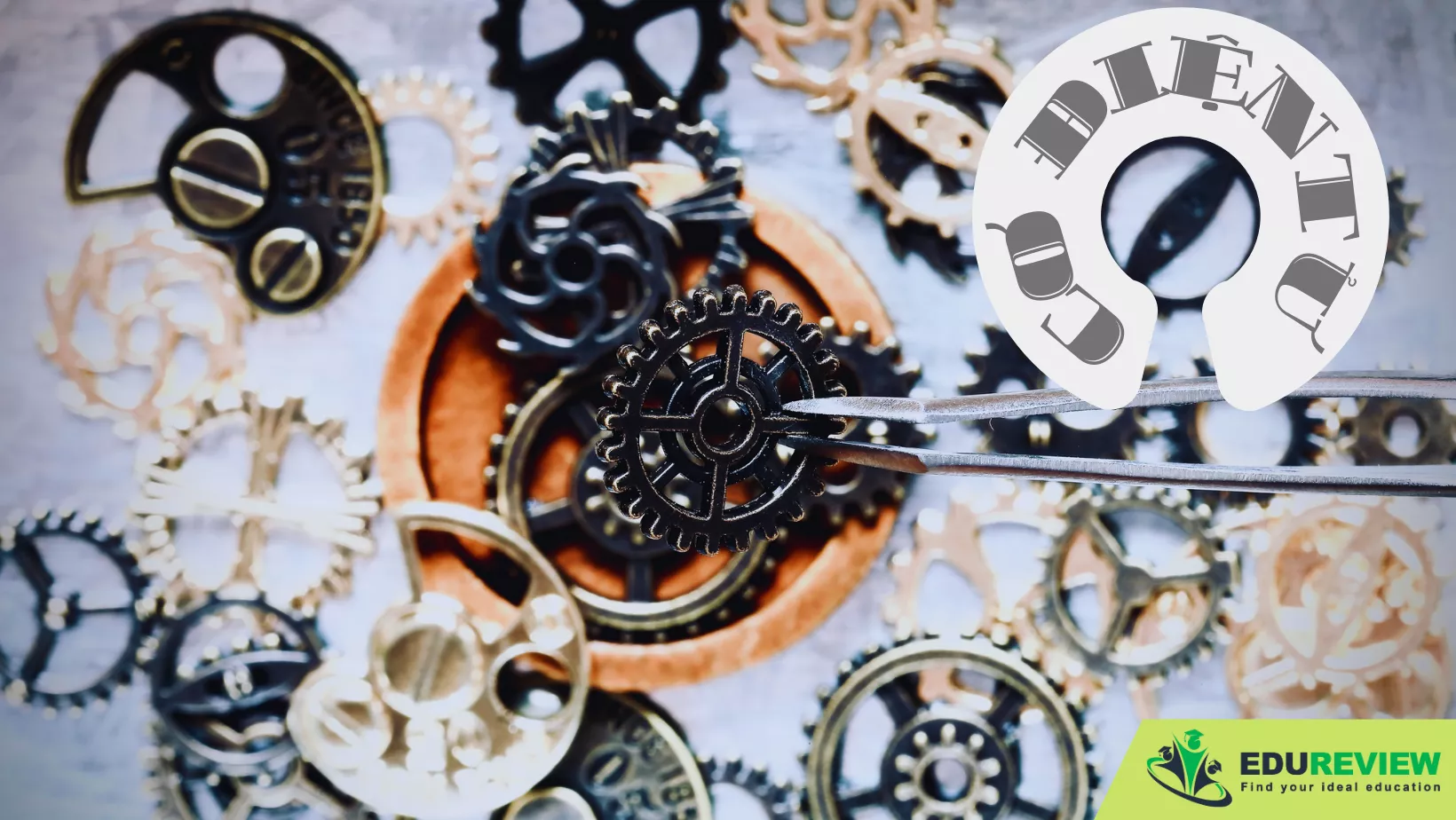 Ngành cơ điện tử là gì