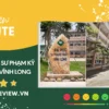 review đại học sư phạm kỹ thuật vĩnh long