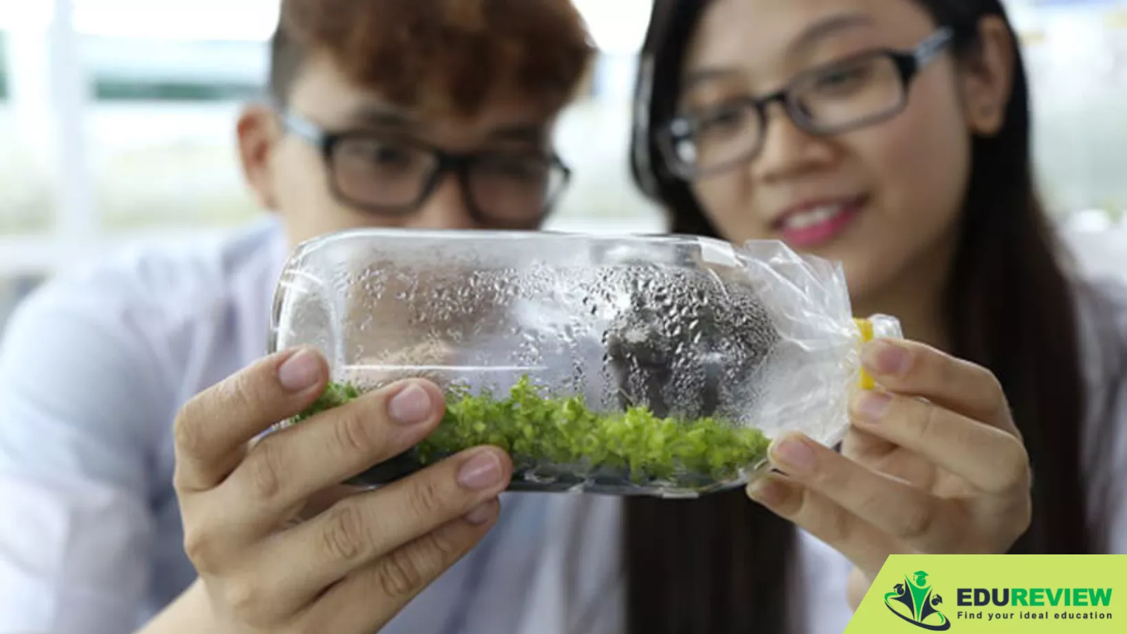 việc làm ngành công nghệ thực phẩm