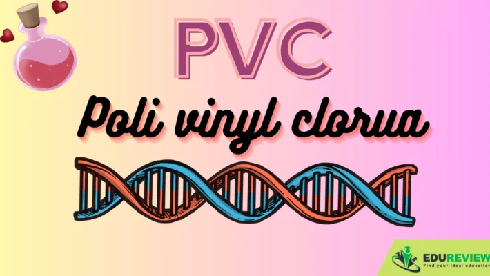 PVC là gì