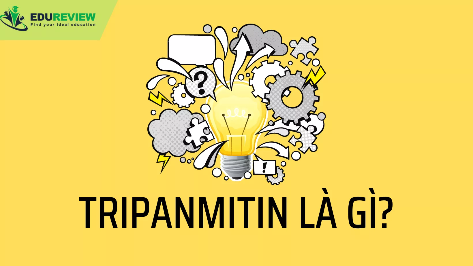 Tripanmitin là gì?