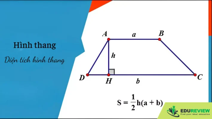 diện tích hình thang vuông