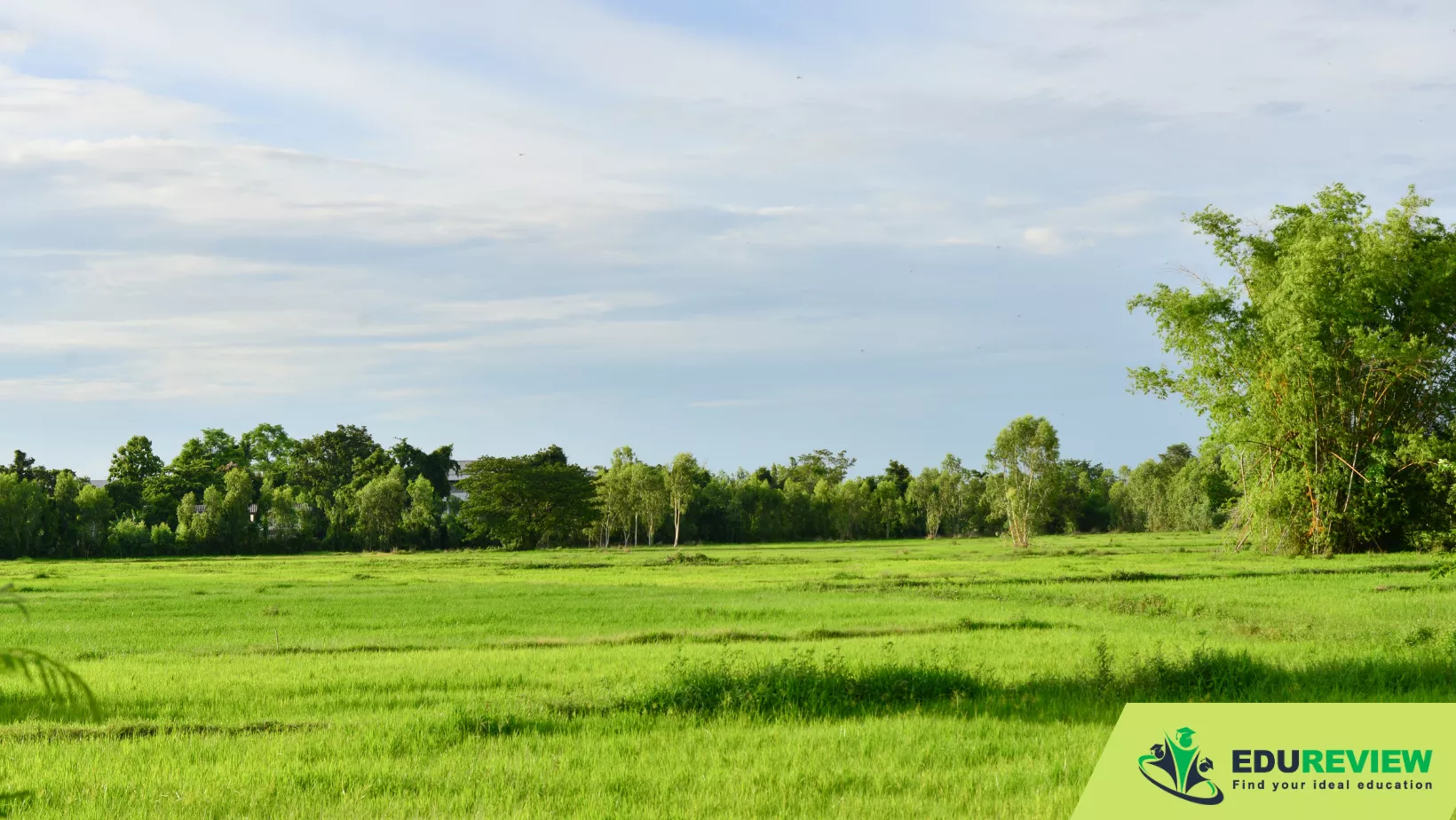 ngành quản lý đất đai là gì