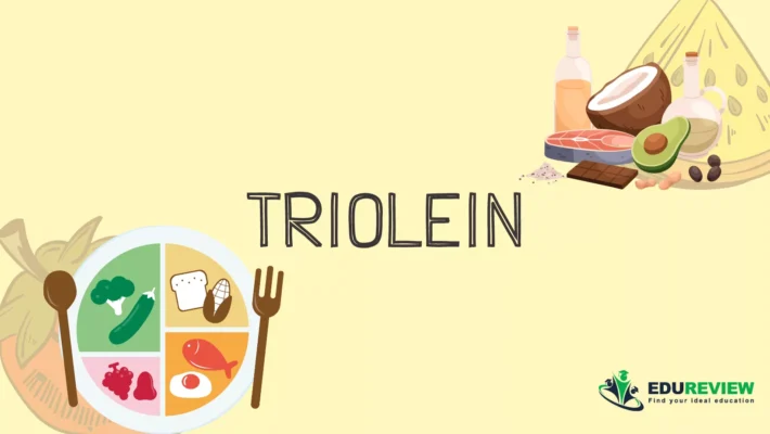 triolein là gì